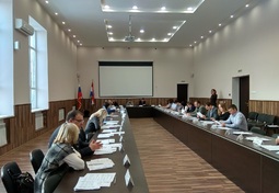 Провели совместные заседания комитетов 