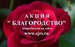 XXVII ОБЛАСТНАЯ ОБЩЕСТВЕННАЯ АКЦИЯ «БЛАГОРОДСТВО». СТАРТОВАЛ СБОР ЗАЯВОК.